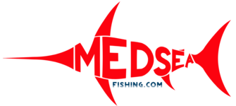 Open Sauce Live Demo